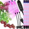 Iluminação profissional – Iluminação para horticultura