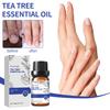 Premium Tea Tree Essential Oil 10ml For Nourishing Skin And Strengthening Nails