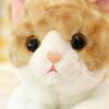 This and lifelike plush pillow features a brown tabby and calico black and white A perfect gift for or store This 50cm plush toy cushion features a