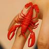 2Pcs Women Bracelet Ring 3D Simulated Crayfish Decor Bracelet Opening Adjustable Finger Band Jewelry Gift