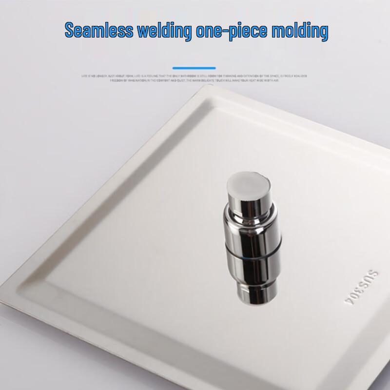 Anica Enjoy Stainless Steel Pressurized Rain Shower Head