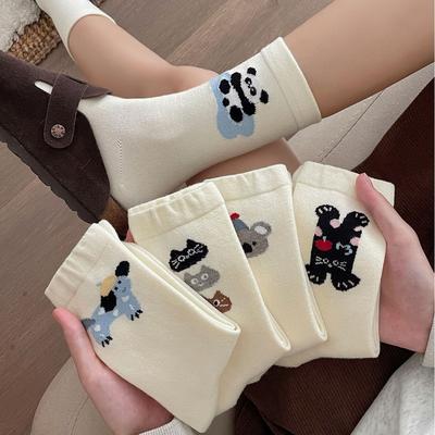 Calze, collant e calzetteria – Calzini