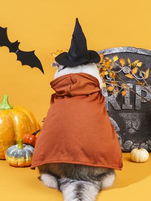 Pet Halloween Costumes Dog Witch Cloak Cape Wizard Hat Halloween Costumes for Dogsand Cats Small