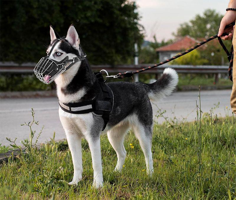 Universal Dog Muzzle for Malinois, Doberman, Golden Retriever, and German Shepherd - Anti-Bite, Anti-Bark, Anti-Ingestion Mouth Cover.