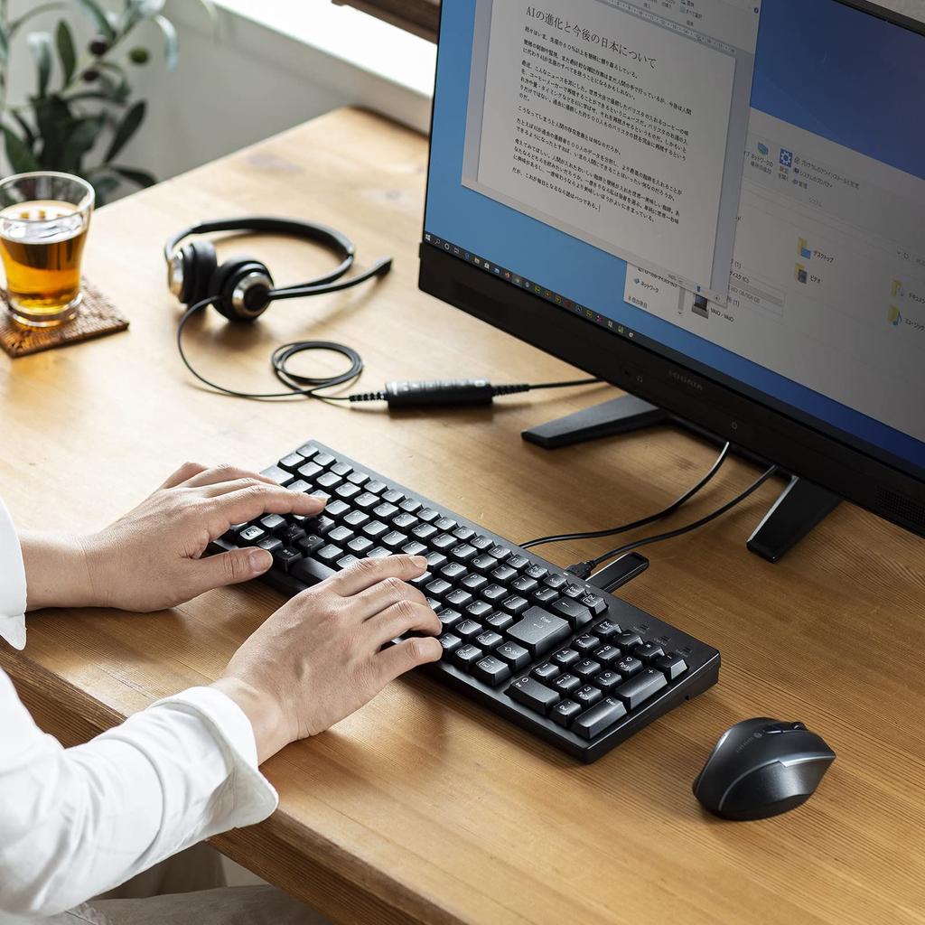 Sanwa Supply Compact Keyboard with USB Hub Black SKB-KG2UH3BK