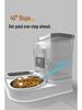 Automatic Pet Feeder & Water Dispenser for Cats and Dogs