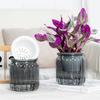 Home Self Watering Planters Translucent Stylish Water-saving Desktop Planter for Living Room Bedroom Study