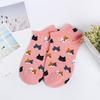 3 Pairs New Cartoon Cute Cat Face Thin Section Invisible Shallow Mouth Women's Cotton Socks Short Tube Socks Spring Summer Meias