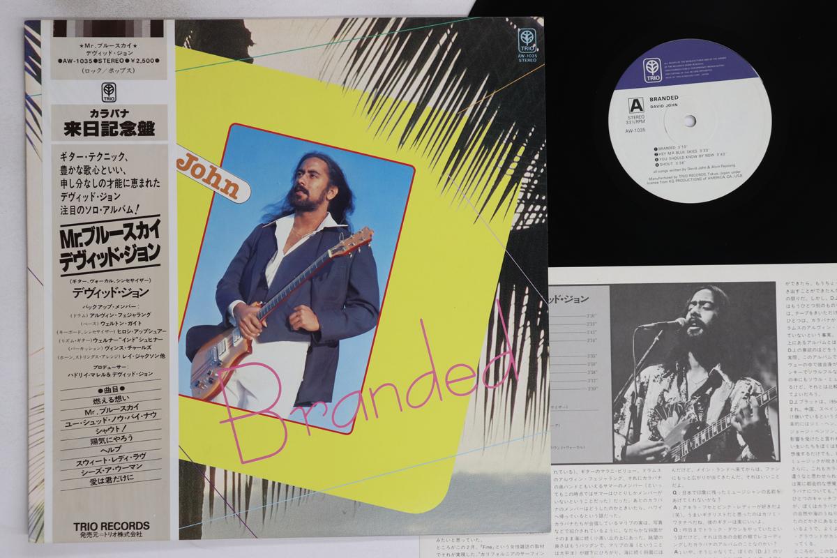 

LP Record DAVID JOHN - Branded AW1035 TRIO 1979 Japan Obi Jazz Used