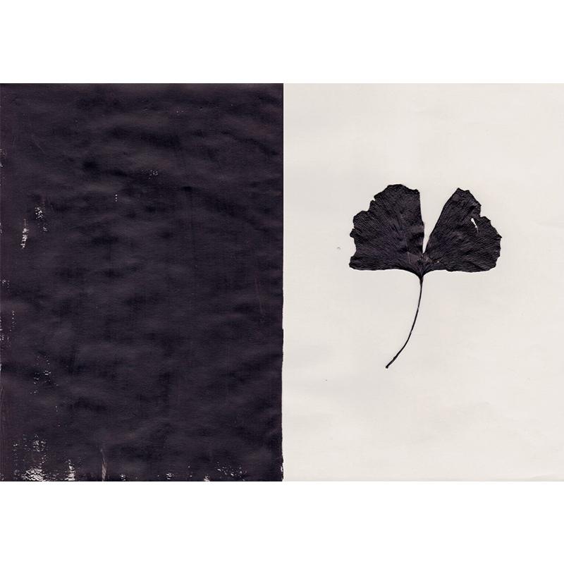 

Ана Фройс Картина Черный Гинкго Минималистичный Принт для Стены Холст Постер Винтажные Изображения Листьев для Гостиной Домашний Декор Cuadros 21x30cm No Framed