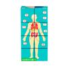 Science Experiment Human Body Organs Magic Cube For Students Educational Diy Toy