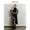 Heco Phoenix Cloud New Chinese Style Top and Skirt Set