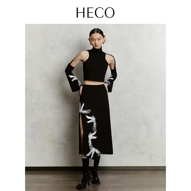 Heco Phoenix Cloud New Chinese Style Top and Skirt Set
