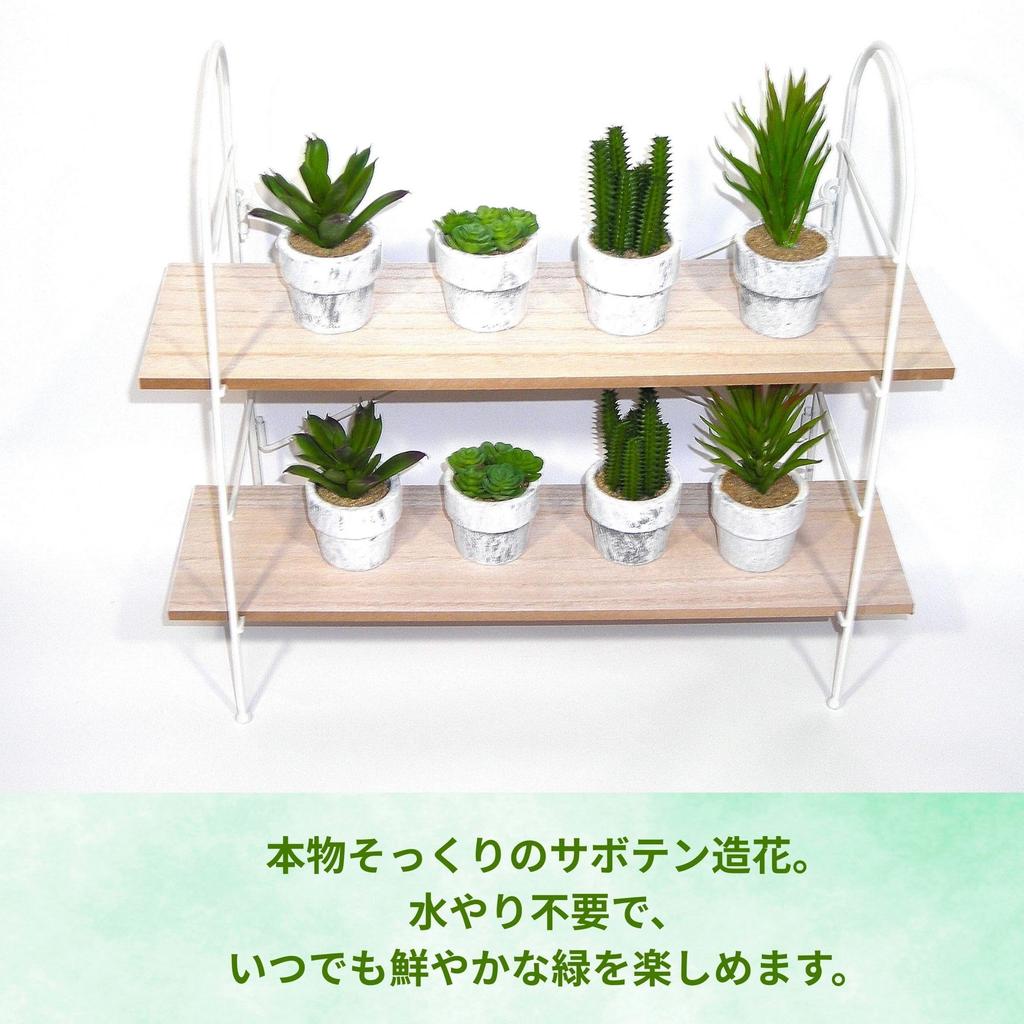 12-Piece Mini Cactus Assortment Set, Faux Greenery, Perfect for Home Decor, Desks, Kitchen Counters, and Store Decor. Perfect for Everlasting Plants.
