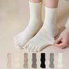 Female Autumn and Winter 10A Anti Bacterial Anti Odor Sweat Absorption Breathable Waist Boneless Tube Five Finger Socks