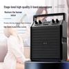 Philips SD50 Portable Outdoor Bluetooth Karaoke Speaker with Wireless Mic CN Plug (adapter Included)
