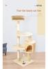 Katzenkletterbaum mit Bett, Baum, Regal, Sisal-Sprungplattform & Spielzeug