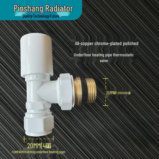 Pinshang Premium 20*6 All-Copper Thermostatic Valve with Polished Chrome-Plated Finish