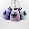Miniature Cute Cat Backpack Simulation Mini Pet Shoulder Bag Model DIY Dollhouse Accessories Gifts for Girls Friends