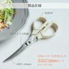 Kitchen scissors blade length 60mm HAJIME lightweight compact stainless steel made Japan dishwasher safe detachable HAJIME-HASAMI.
