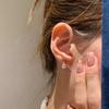 2026 New Light Luxury Exquisite High-end Design Water Drop Drill Ear Hole Earrings Temperament Earrings Cochlear Nails for Women