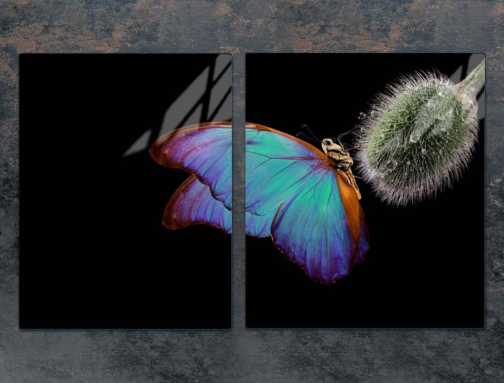 SZKLANA PŁYTA OCHRONNA NA KUCHENKĘ 85x52 MOTYL
