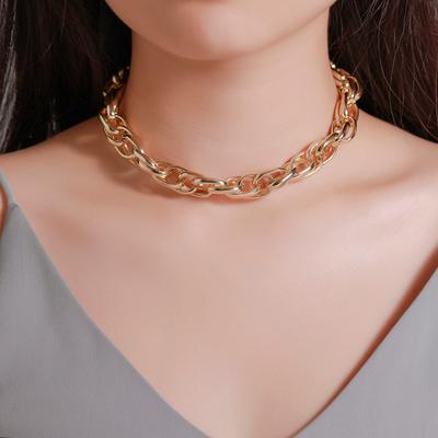 Personalized Simple Metal Thick Chain Necklace Exaggerated Punk Style Ladies Necklace Accessories