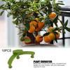 Plant Bender Plant Training Clips Bonsai Tool Plant Stem Trainer Clips Plant Training Clips Plant Branch Benders