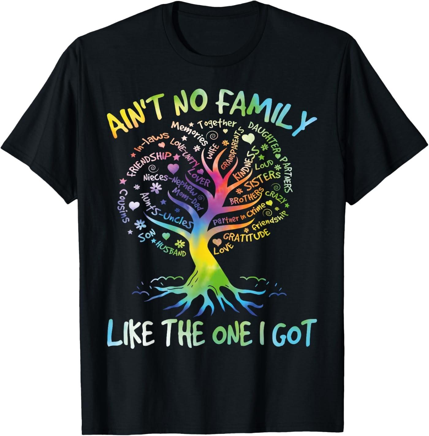 Ain t No Family Like The One I Got - Matching Family Reunion T-Shirt L