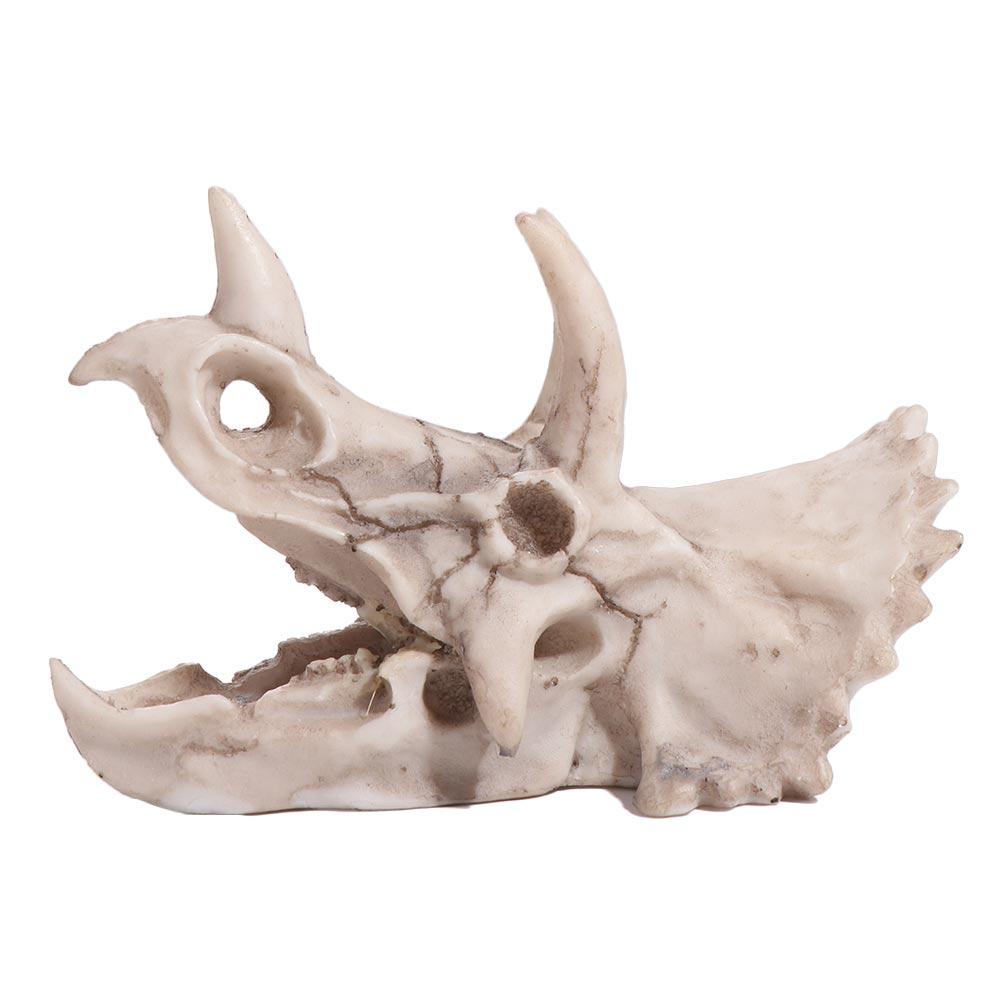 Artificial Fish Hiding House Decorative Animals Skull Decoration Teaching Skeleton Model