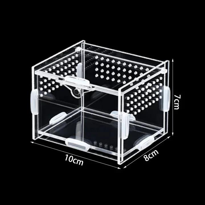Acrylic Transparent Terrarium Enclosure Assembly Kit For Insects Reptiles Pets Home Display For Hobbyists Kids Birthday Gift