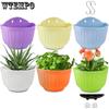 6pcs Wall Planter Hanging Flower Pot Window Hang Indoor Outdoor Plant Basket for Fence Railing Resin Pots with S Hooks and Drainage Meshes