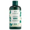 The Body Shop Shine & Protection Moringa Conditioner 1 Pcs 250ml