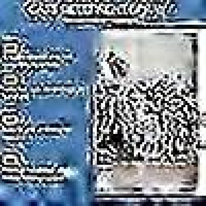 Kattavskräckande Spray, Stoppar Katter från att Kissa & Klösa, Citron & Coptis, Säker för Möbler