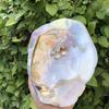 Natural Seashells and Freshwater Pearls for Home Decor, Aquariums, and Creative Crafting
