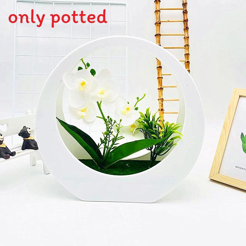 Flower Phalaenopsis Simulated Potted Moon Shaped Decorative Wall Pendant