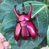 Educational Wind-up Rhinoceros Beetle Toy: Creative Fighting Insect Model for Kids' Observation & Relaxation