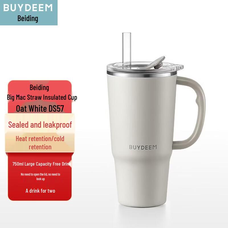 Beiding Jumbo Insulated Straw Mug