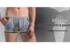 Genuine AIBC Summer Ice Silk Low Waist Breathable Men's Boxer Briefs 006PJ.
