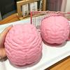 Slow Rising Brain Squishy Toy Moldable Prank Toy Unique Squeeze Toy  for Adults Kids