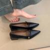 Buckle Pumps for Women Dress Shoes High Heels Boat Shoes Elegant Office Ladies Shoes Black Mary Jane Chunky Pump Autumn