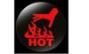 ONDOLAB Hand Hot Indicator HH50 High Heat Caution 50℃