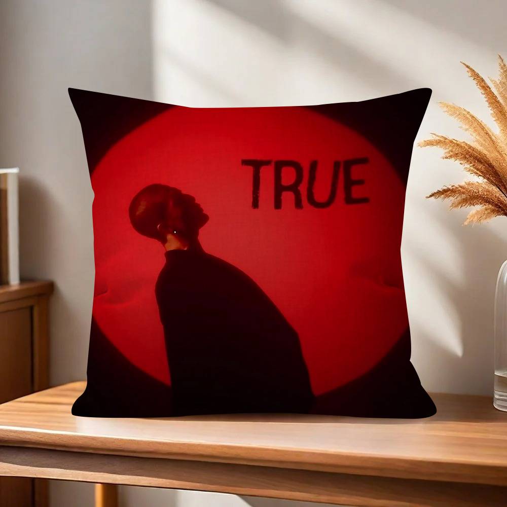 Rock Singer DDamiano David Cushion Cover Decorative Pillow Sofa Home Decor case pillow cases
