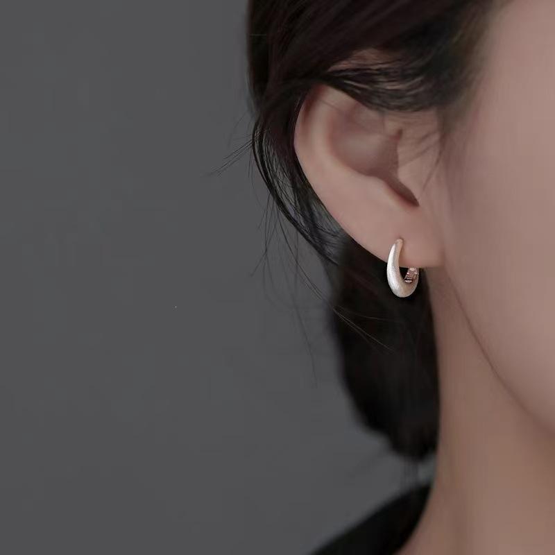 2025 Nieuwe High-End Niche 925 Sterling Zilver Geborstelde Hoepeloorbellen voor Dames