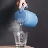 BEANBEANLOVE 900ML Insulated Thermos Pot