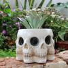 Creepy Skull Planter Succulent Vase Realistic Looking Multi-Face Design Horror Skeleton Planter