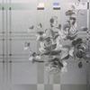 Electrostatic Window Film Glass Sticker Peony Pattern Privacy Protection Decoration Window Film for Door Window Table