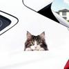 2 Cute Kittens Pack of Vinyl Decals Stickers, Covered Waterproof