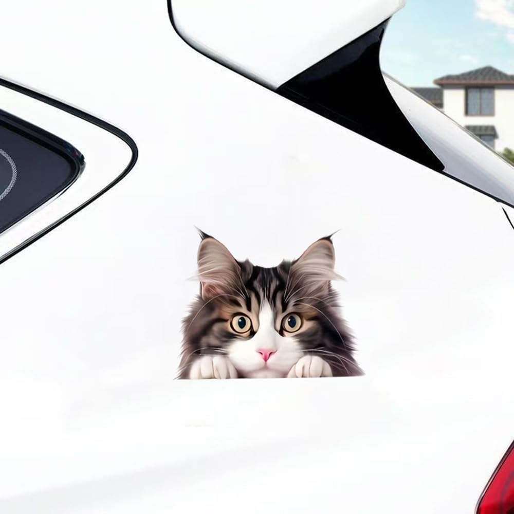 2 Cute Kittens Pack of Vinyl Decals Stickers, Covered Waterproof