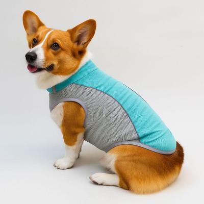 Abbigliamento e scarpe – Gilet e camicie per cani